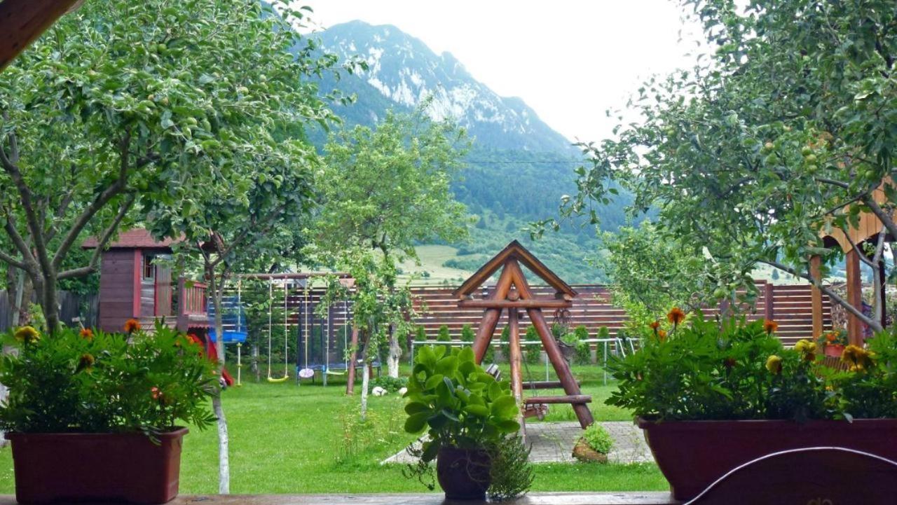 ホテル Sura Pietrei Craiului Zărneşti エクステリア 写真